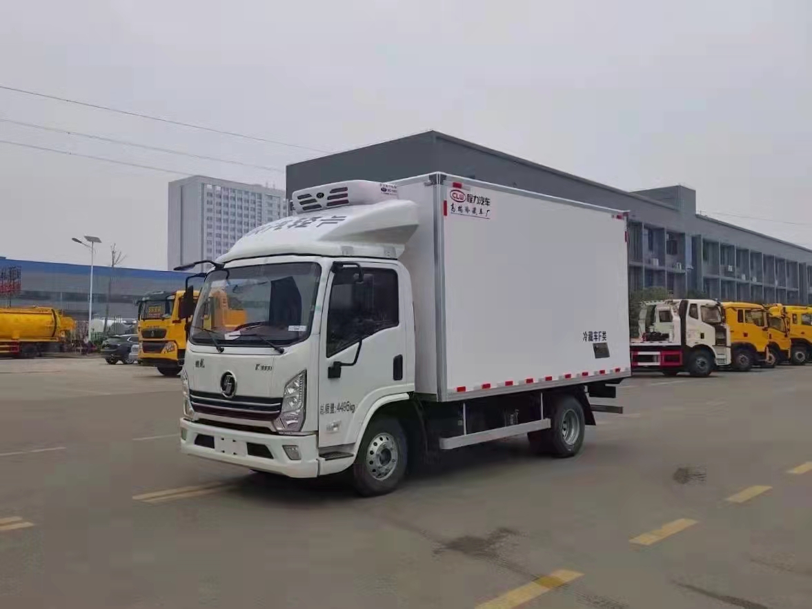 國六陜汽德龍K3000 4.2米冷藏車